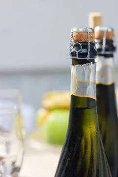 Bottleneck Champagne three objects Stock Photos