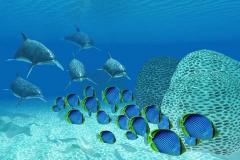 Bottlenose Dolphins Underwater Stock Illustration