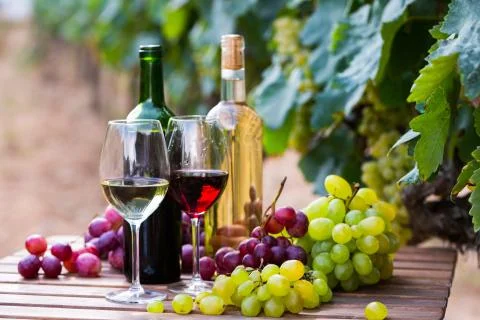 Bottles and glasses with red and white wine and grapes Stock Photos