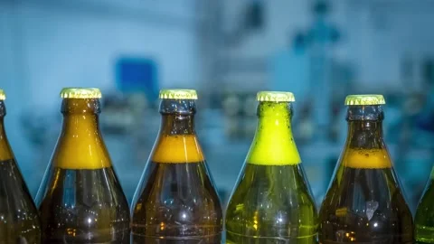 Bottles of beer closed with tin caps transported by conveyor Stock Footage 147669599