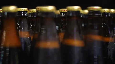Bottles of beer go through the conveyor Stock Footage 76145049