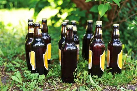 Bottles of beer on grass. Stock Photos