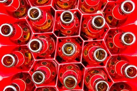 Bottles of beer Stock Photos