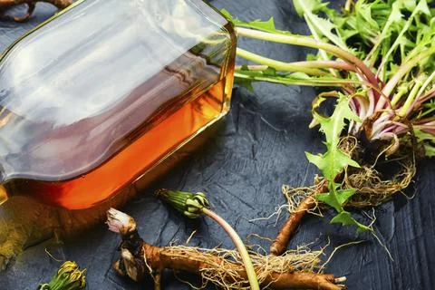 Bottles of dandelion tincture Stock Photos