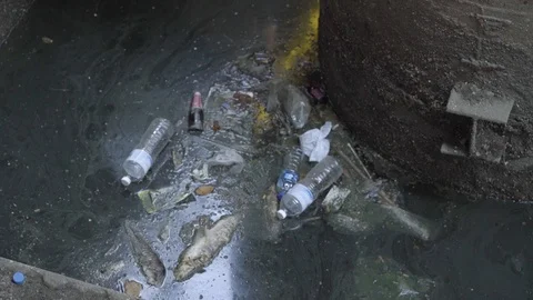 Bottles in dirty river 스톡 동영상 105910021