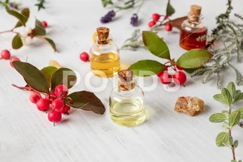 Bottles of essential oil with frankincense, wintergreen, santolina and other Stock Photos