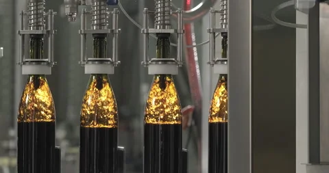 Bottles filled with red wine by wine bottle filler. Wine bottling process at Stock Footage 255380387