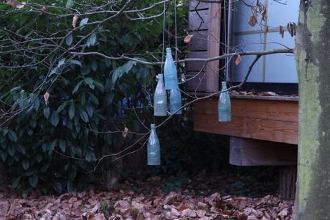 Bottles in the Forest Stock Photos
