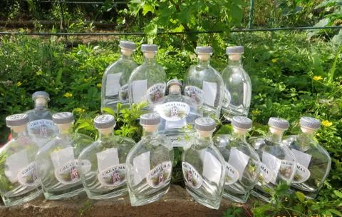 Bottles on the grass Stock Photos