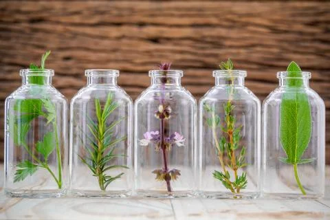 Bottles of herb thyme ,basil flower ,rosemary ,parsley and sage leaf on woode Stock Photos