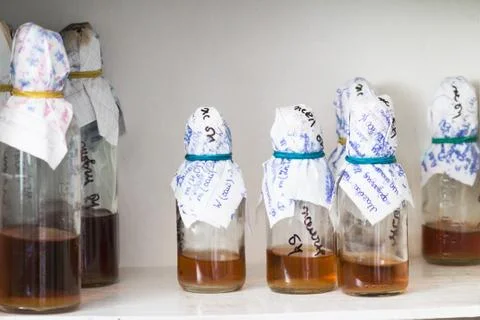 Bottles in laboratory Foto stock