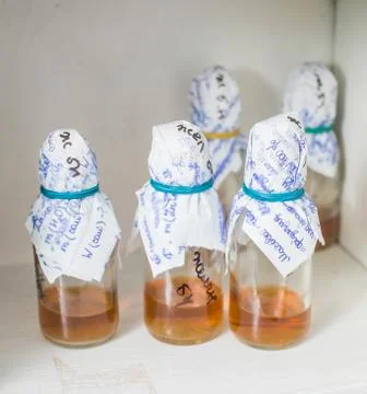 Bottles in laboratory Stock Photos