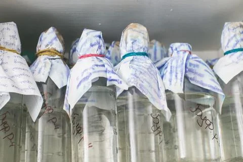 Bottles in laboratory Foto stock