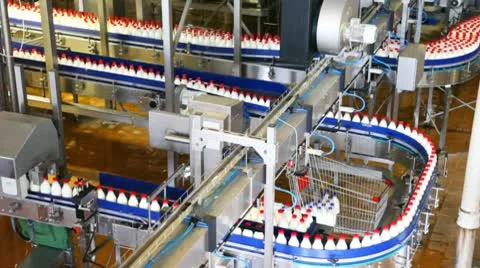 Bottles of milk move long conveyor first in one, then many ranks at factory Stock Footage