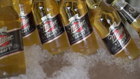 Bottles of Miller light beer in ice bucket. Bar at vacation resort. Stock-Footage 235253233