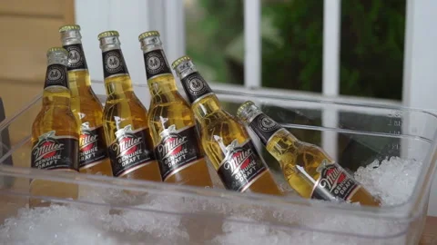 Bottles of Miller light beer in ice bucket. Bar at vacation resort. Stock-Footage 235254989