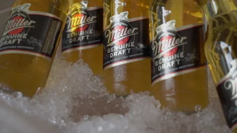 Bottles of Miller light beer in ice bucket. Bar at vacation resort. Stock-Footage 237885333
