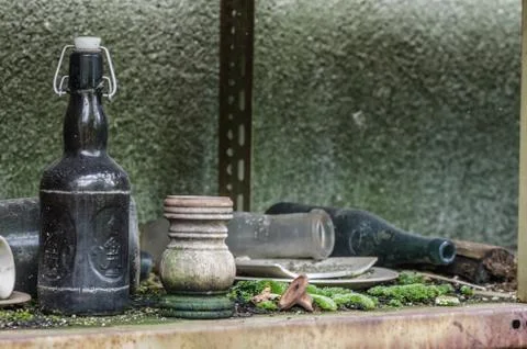 Bottles moss window Foto stock