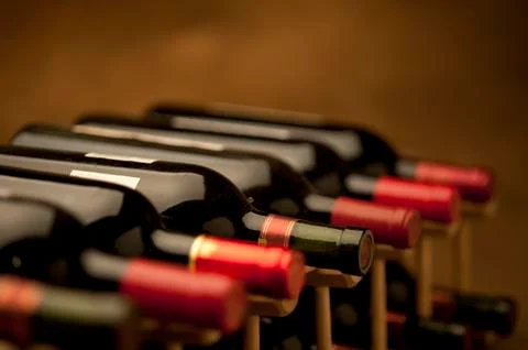 Bottles of red wine in a row Foto stock