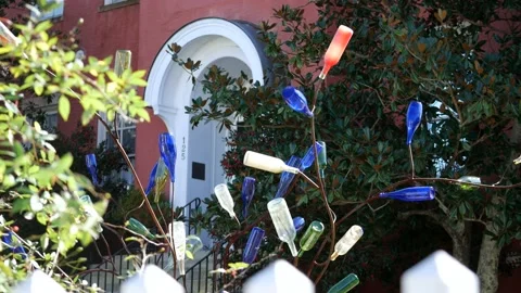 Bottles on a tree Video stock 167372257