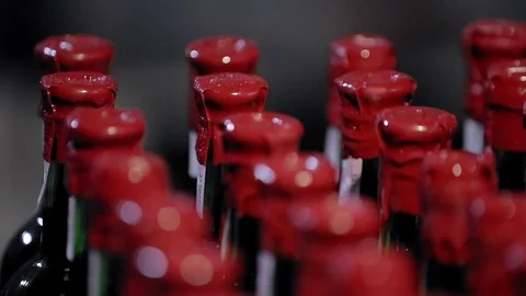 Bottles Of Wine in the basement 스톡 동영상 89576171