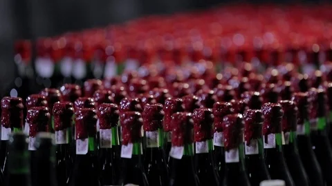 Bottles Of Wine in the basement Stockbeeldmateriaal 89576401