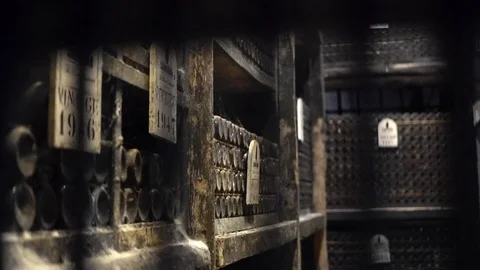 Bottles of wine in the cellar, old bottles covered with dust Vídeo Stock 104379716