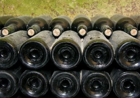 Bottles in wine cellar Stock Photos