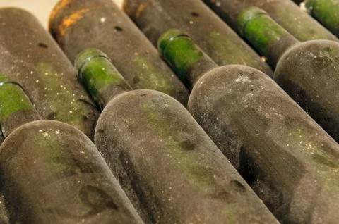 Bottles in wine cellar Stock Photos