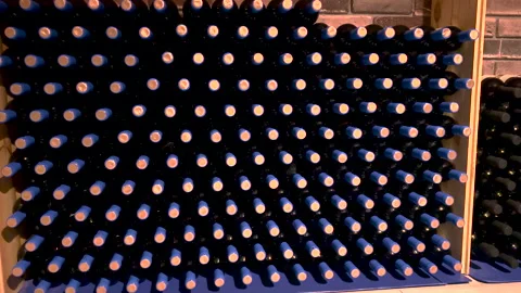 Bottles of wine in the cellar. Selective focus. Stock Footage 305491184