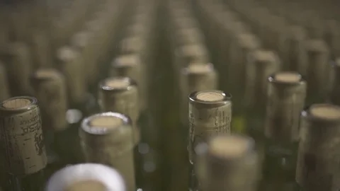 Bottles of wine Stock Footage 71324055