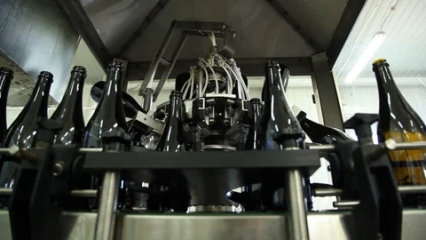 Bottles for wine Stock Footage 113049955