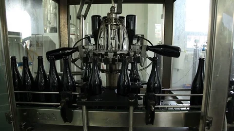 Bottles for wine Stock Footage 113050071