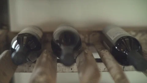 Bottles of wine in a wine cellar Stock Footage 99873040