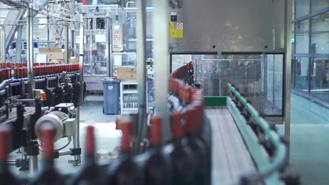 Bottles in Winery Stock Footage 86296432