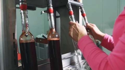 Bottling process of red wine. Vídeos de archivo 98279525