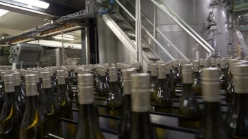 Bottling of wine bottles Video stock 85864268