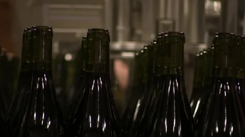 Bottling of the wine Stock Footage 83871767