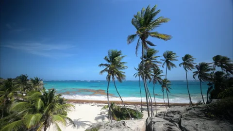 Bottom Bay Barbados Stock Footage 233268148