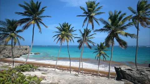 Bottom Bay Barbados Stock Footage 233273818