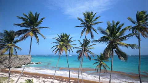 Bottom Bay Barbados Stock Footage 233273819