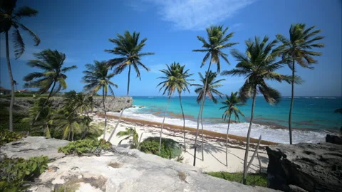 Bottom Bay Barbados Stock Footage 233273820