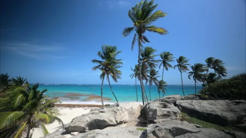 Bottom Bay Barbados Stock Footage 233275481