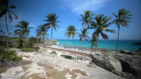 Bottom Bay Barbados Stock Footage 233277180
