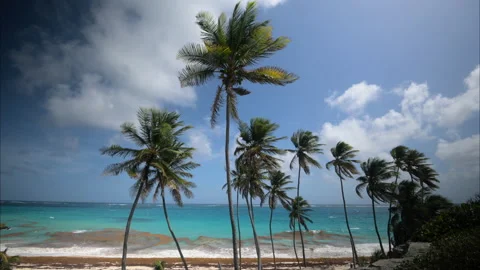 Bottom Bay Barbados Stock Footage 233278015