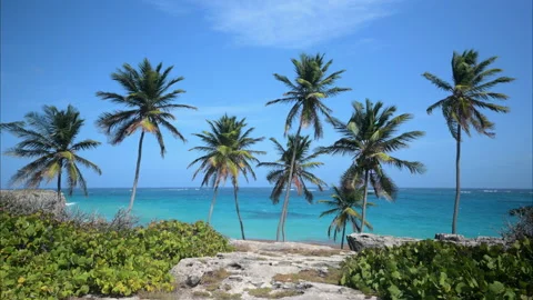 Bottom Bay Barbados Stock Footage 233284643