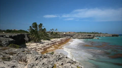 Bottom Bay Barbados Stock Footage 233284847