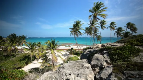 Bottom Bay Barbados Stock Footage 233287187
