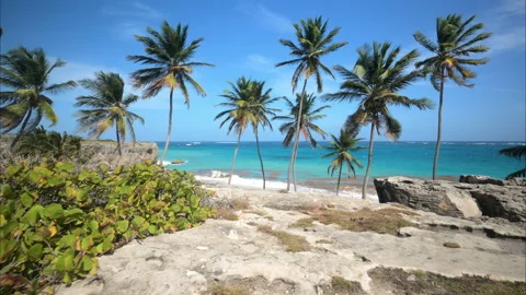 Bottom Bay Barbados Stock Footage 233288218