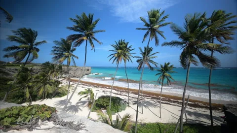 Bottom Bay Barbados Stock Footage 233288495